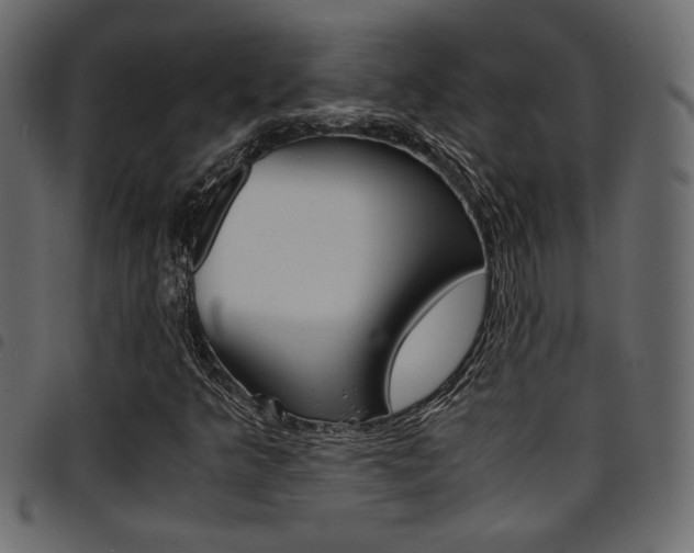 X0000094911349200711290950