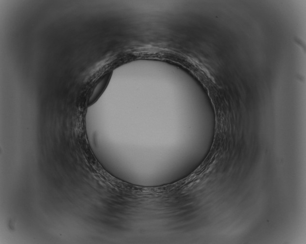 X0000094911350200711290950