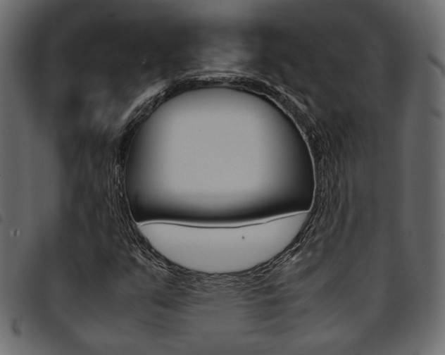 X0000094911351200711290950