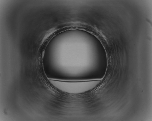 X0000094911352200711290950