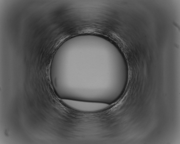 X0000094911353200711290950