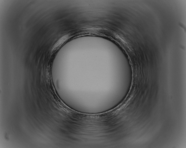 X0000094911354200711290950