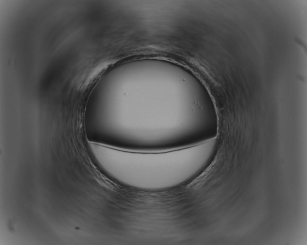 X0000094911355200711290950