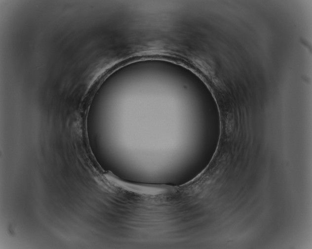 X0000094911356200711290950