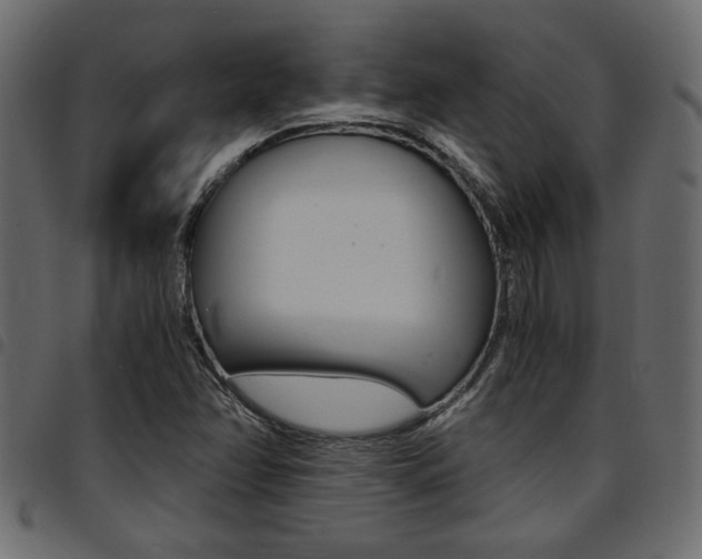 X0000094911358200711290950