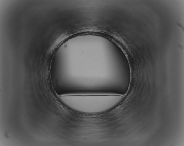 X0000094911359200711290950