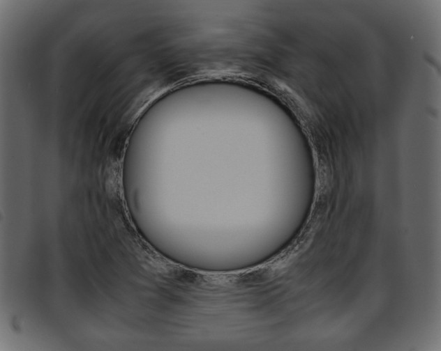 X0000094911361200711290950
