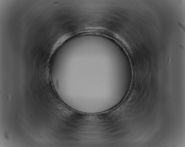 X0000094911362200711290950