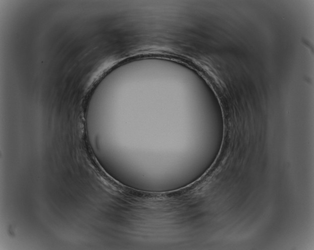 X0000094911363200711290950