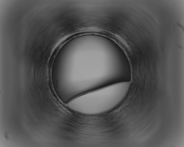 X0000094911364200711290950