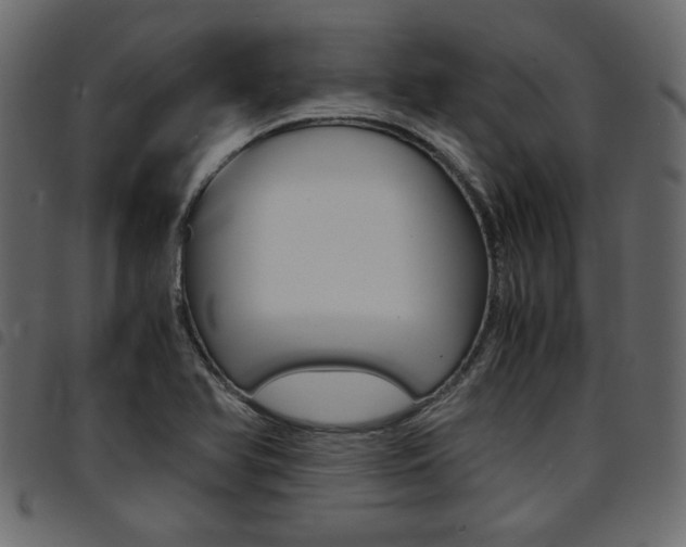 X0000094911366200711290950