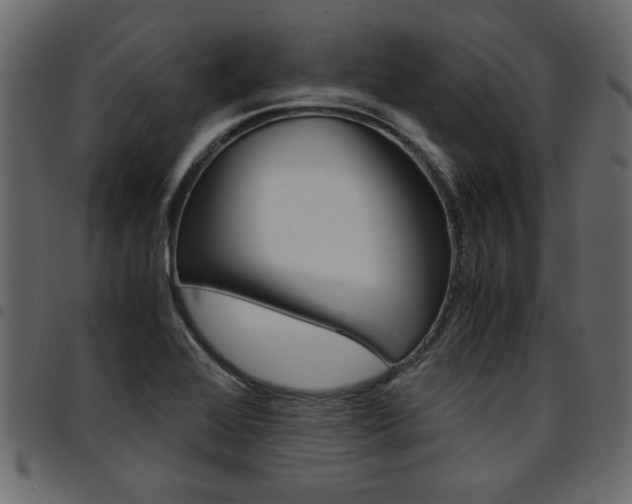 X0000094911368200711290950