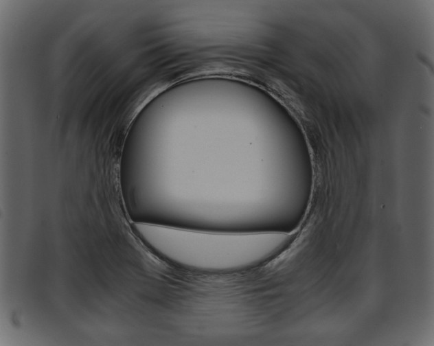 X0000094911369200711290950