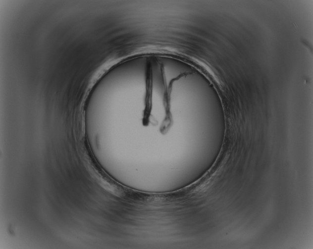 X0000094911371200711290950