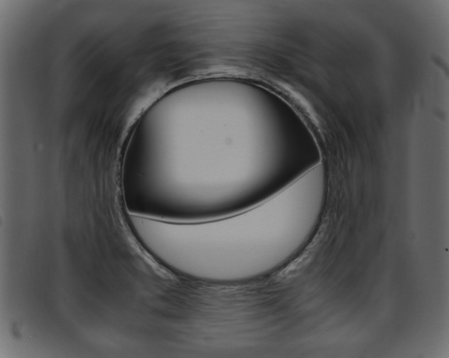 X0000094911373200711290950