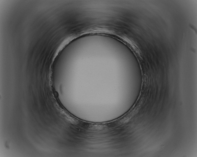 X0000094911374200711290950
