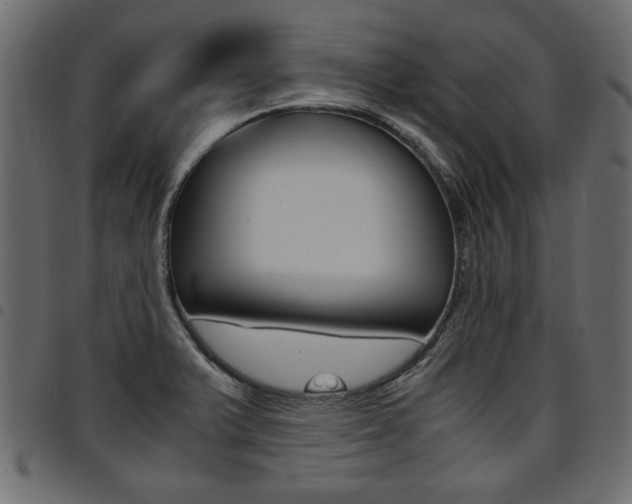 X0000094911375200711290950