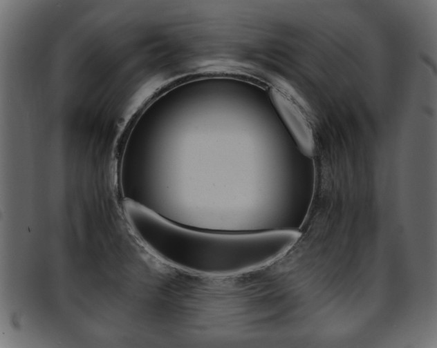 X0000094911376200711290950