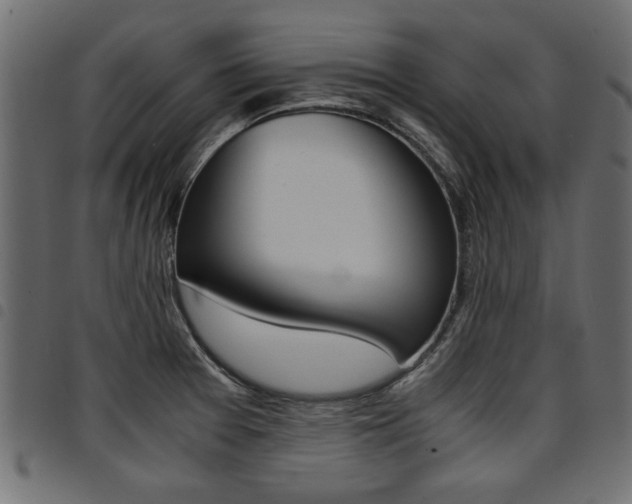 X0000094911377200711290950