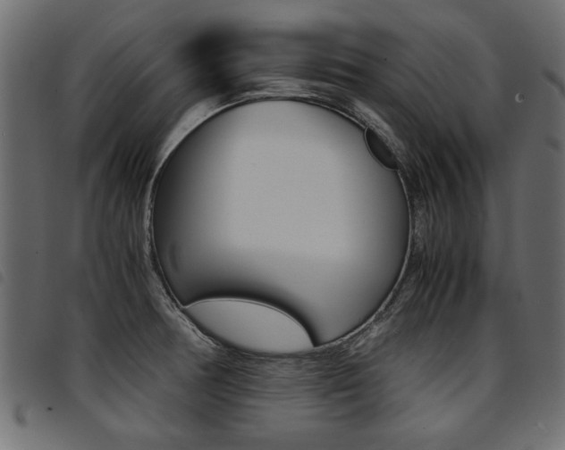 X0000094911378200711290950