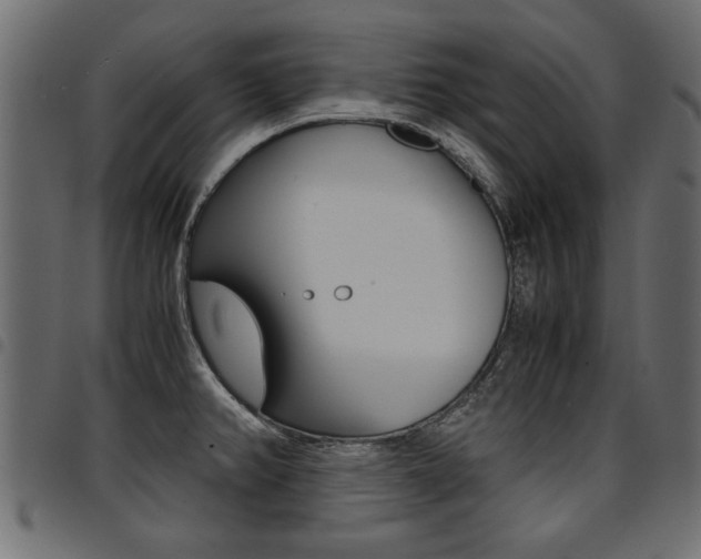 X0000094911382200711290950