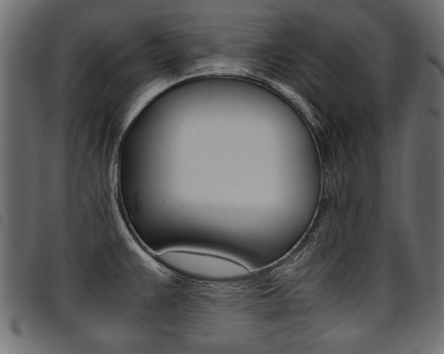 X0000094911383200711290950