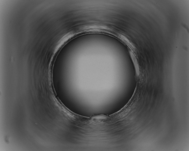 X0000094911384200711290950