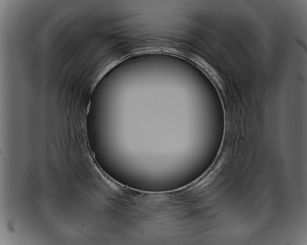 X0000094911385200711290950