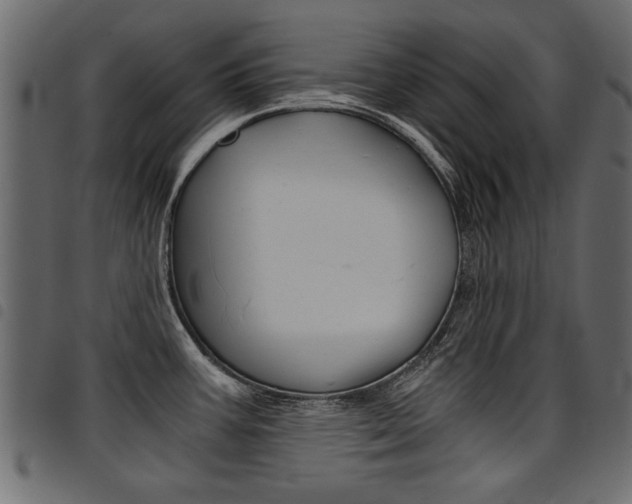 X0000094911387200711290950
