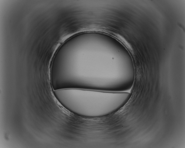X0000094911388200711290950