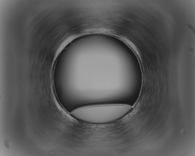 X0000094911389200711290950