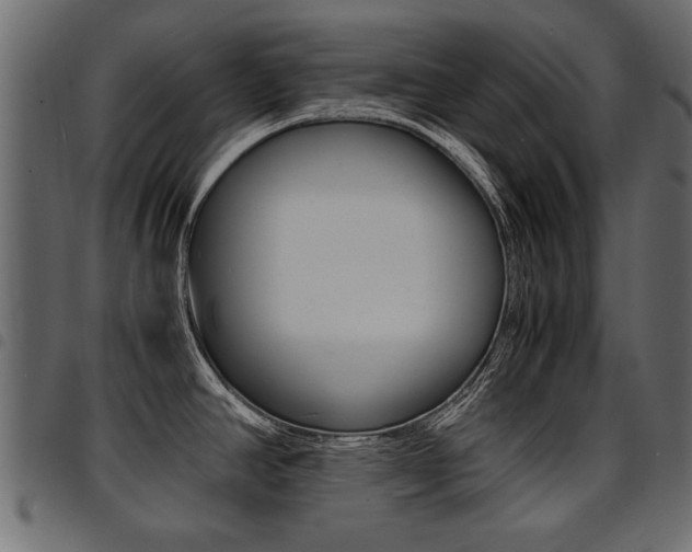 X0000094911390200711290950