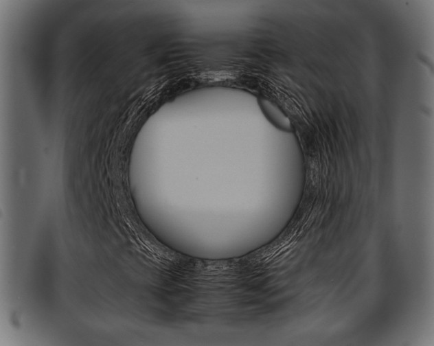 X0000094911393200711290949