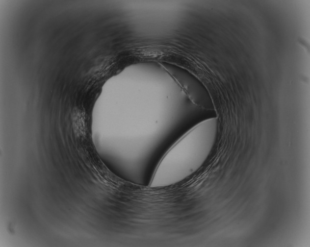 X0000094911394200711290949