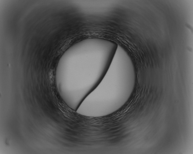 X0000094911395200711290949