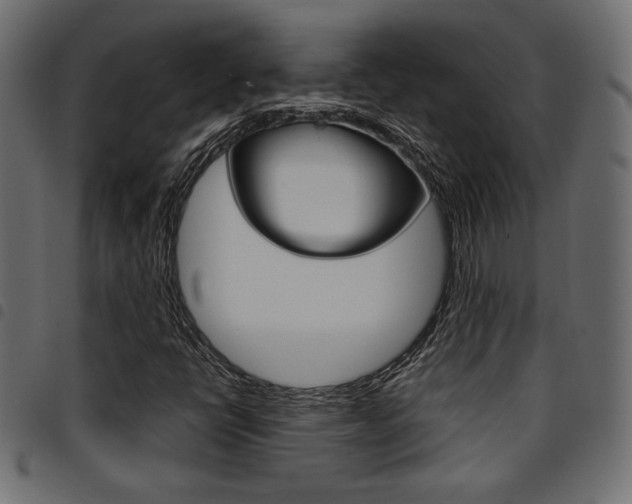 X0000094911398200711290949