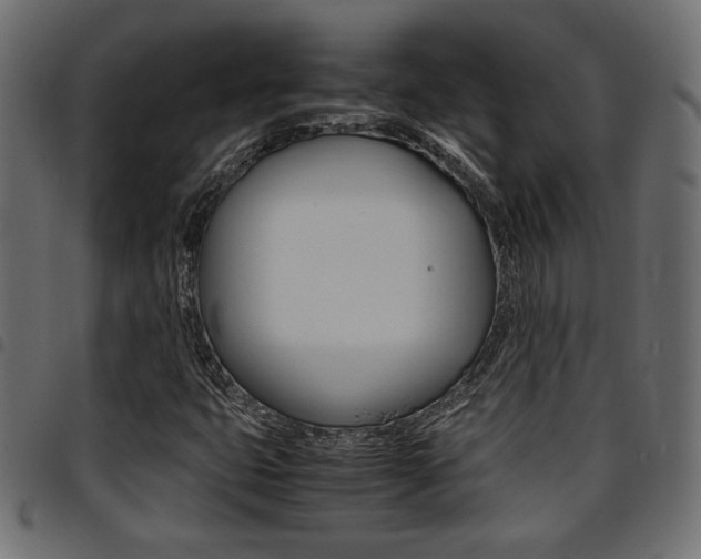 X0000094911399200711290949