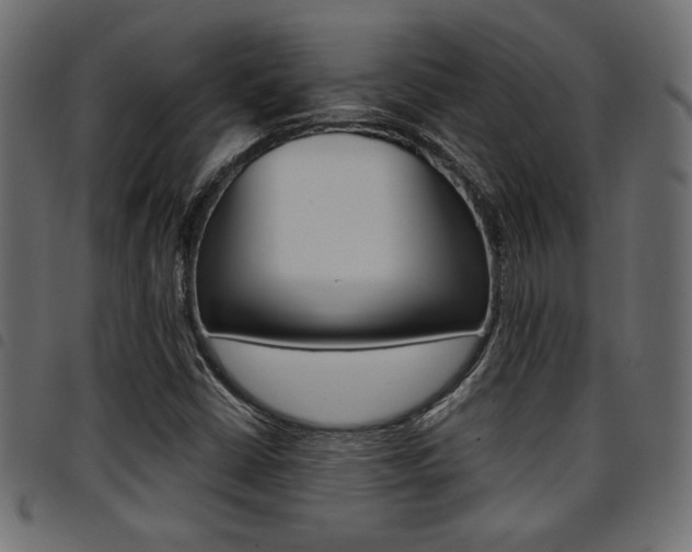 X0000094911402200711290949