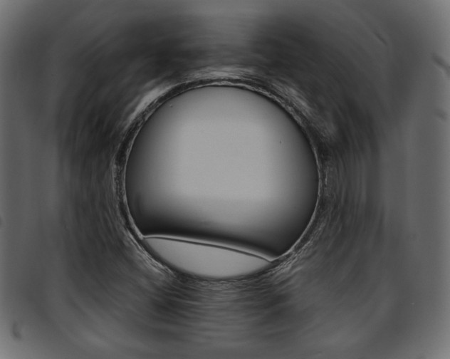 X0000094911404200711290949