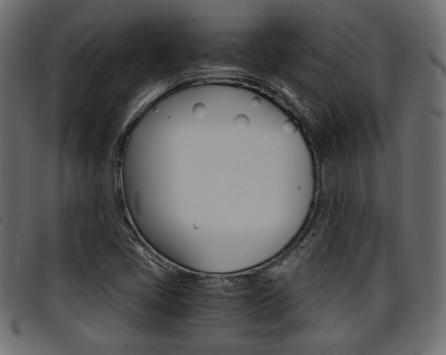 X0000094911405200711290949