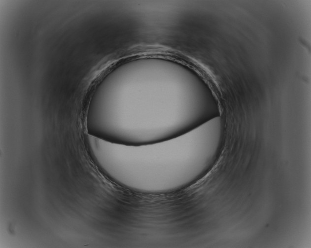 X0000094911407200711290949