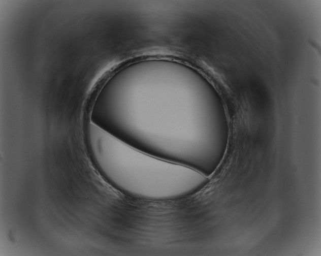 X0000094911408200711290949