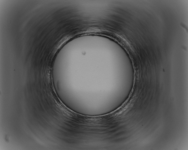 X0000094911409200711290949