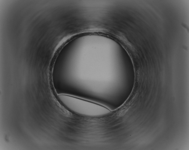 X0000094911412200711290950