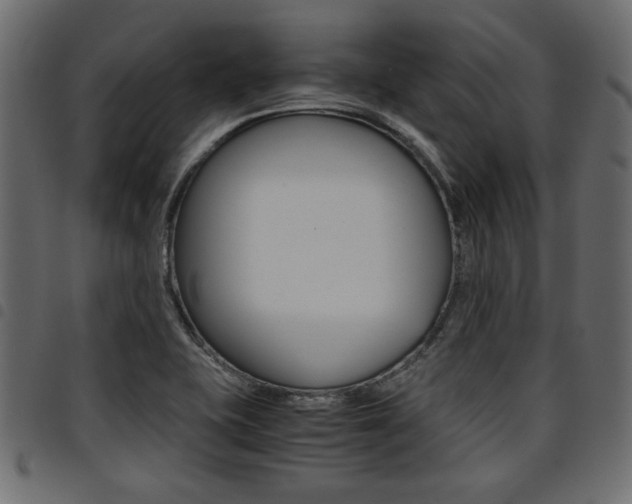 X0000094911415200711290950