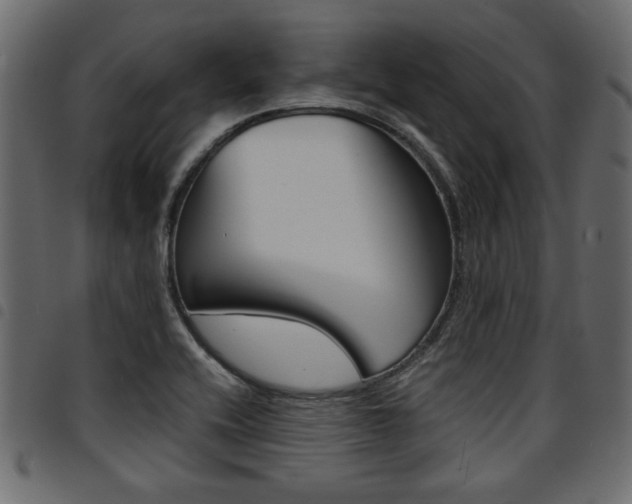 X0000094911416200711290950