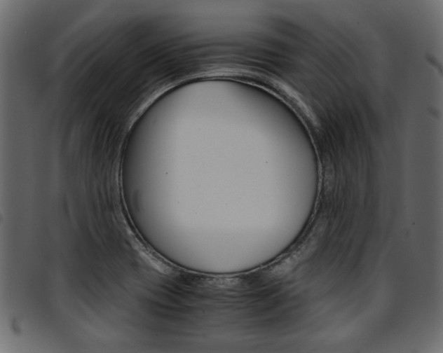 X0000094911417200711290950