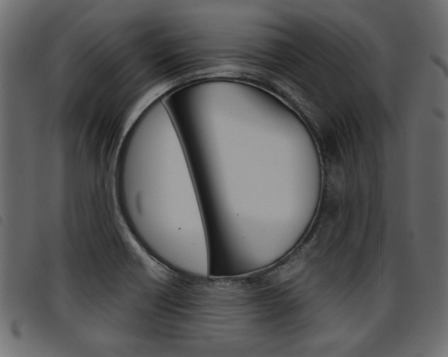 X0000094911418200711290950