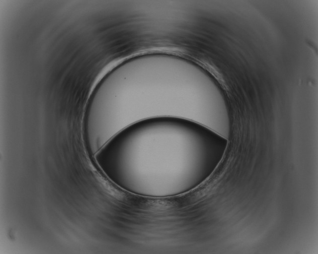 X0000094911420200711290950
