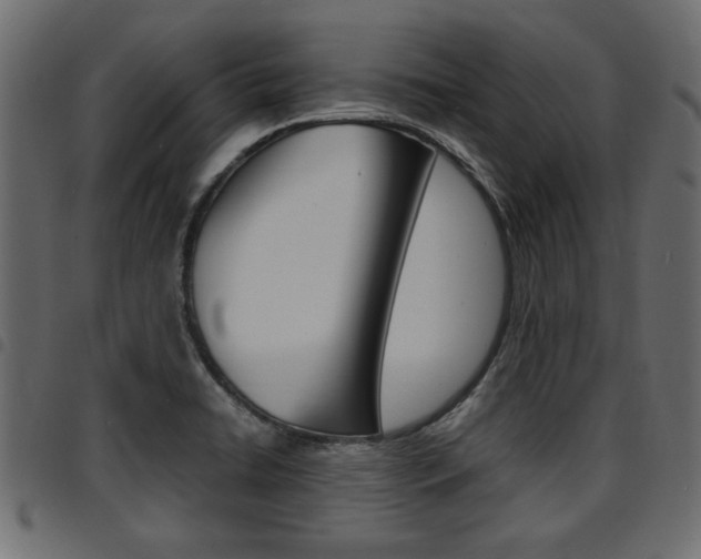 X0000094911422200711290950